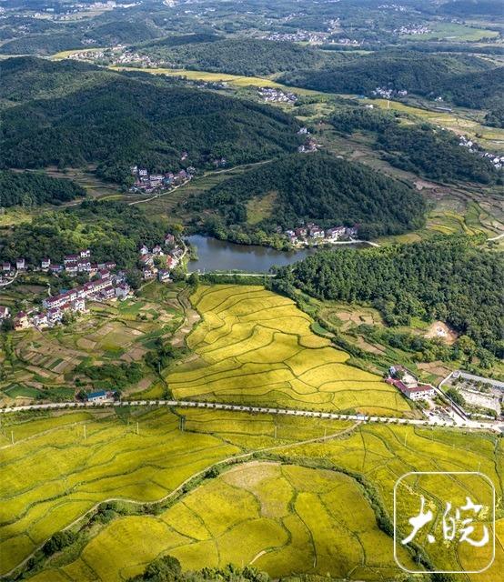 庐江：山村“丰”景如画