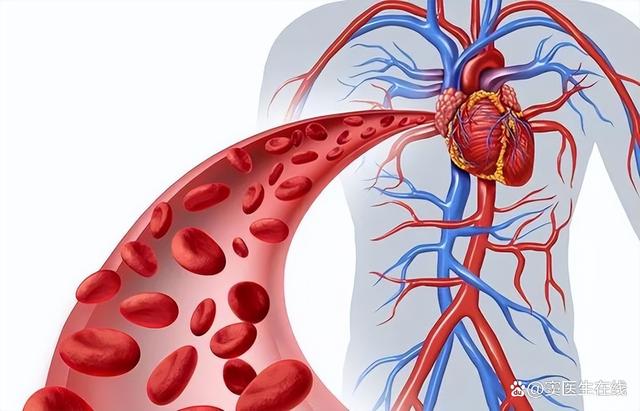 维生素对于血管有着很好的“保养作用”和“修复作用”