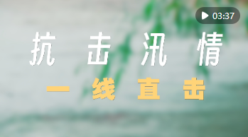 全力以赴打赢防汛抢险硬仗——华北、黄淮等地抗击汛情一线直击