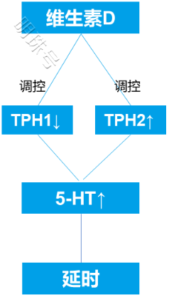 维生素D可以改善多囊，男性为什么也需要吃？