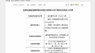 因虚列费用套取资金等，国华人寿合计被罚21万元