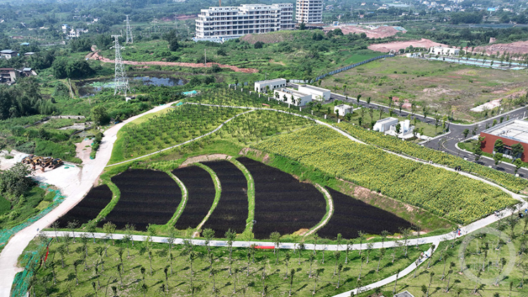 昔日建设工地 今朝蝶变打卡地