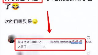 网传李湘身价5000亿，光王诗龄安保费就高达10亿，网友的评论亮了