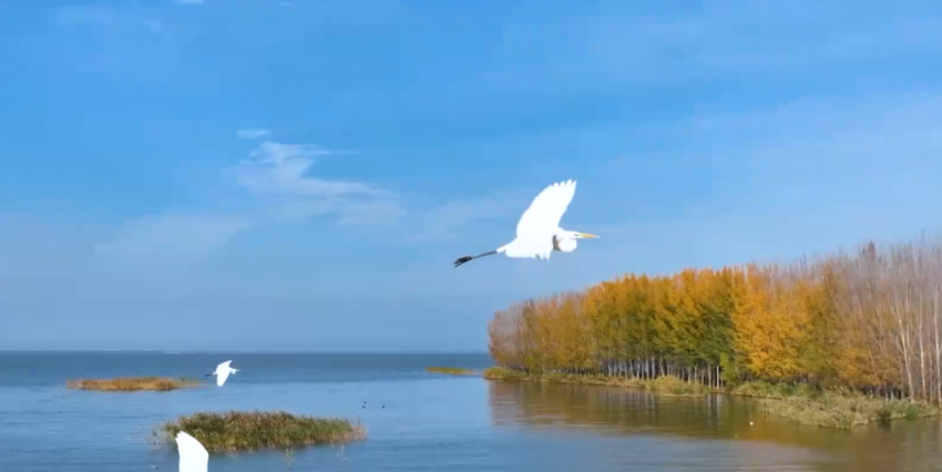 “冬游齐鲁 乐享东平”来东平湖畅享美好时光