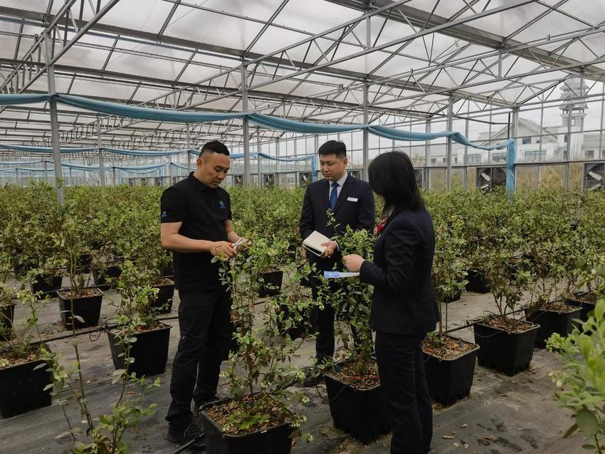 深耕沂蒙沃土，服务实体经济：临商银行全面谱写新时代高质量发展新篇章