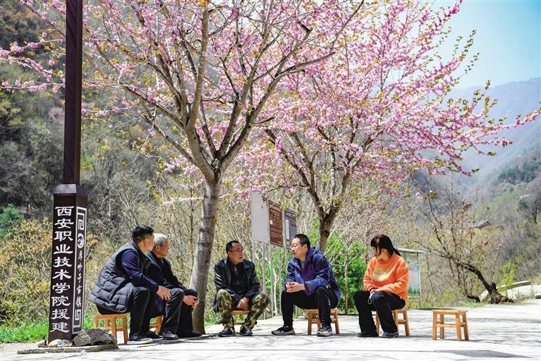 把论文写在深山村民的致富路上