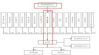 信芯微背靠“海信系”，独立性与上市必要性遭质疑