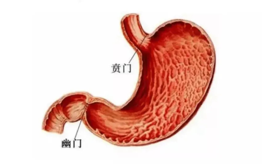 男子暴瘦！每次只能咽下一粒米？上海医生：这种病很痛苦...