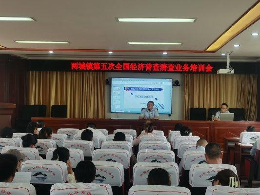 济宁市两城镇组织开展召开第五次全国经济普查清查业务培训会