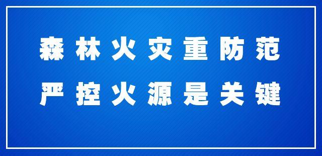 2023年全国桨板瑜伽锦标赛在青田举办