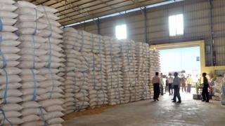 缅甸大米行业为2023年雨季稻设定指导收购价格