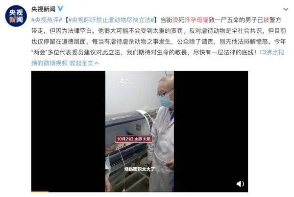 小狗牙齿被掰断，竟是11岁女孩下的手，称“想看狗会不会咬断自己舌头”