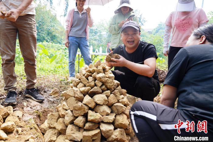 “广西科目四”窑鸡比赛竞争激烈