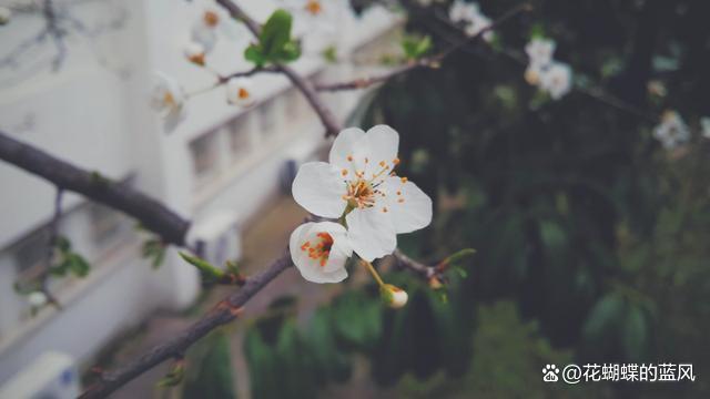 这一生，遇见人就好，看到事笑就好