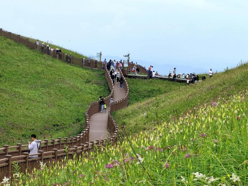 阿西里西韭菜坪：避暑度假旅游潮 带活小山村