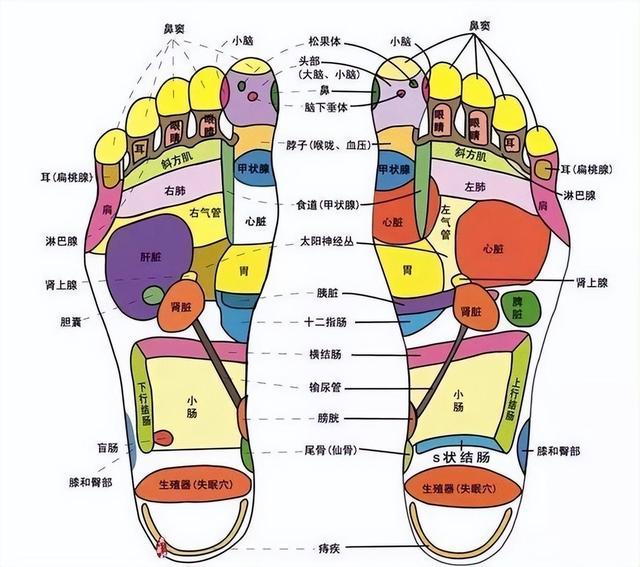 踮脚注意这4点以免养身变伤身