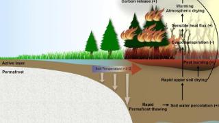 多年冻土融化对北极有何影响？国际最新研究称或致当地野火增加