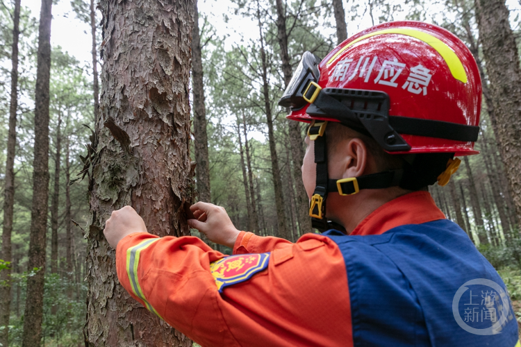 重庆南川：专业应急救援队加强森林防火巡护