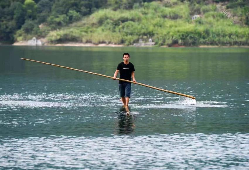 湖北阳新80后青年连续12年开垦，昔日荒山如今变成“花果山”