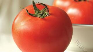 为何现在的西红柿都“硬邦邦”的，一文揭开疑惑