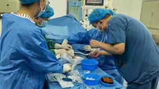 淄博妇幼成功开展球囊扩张新技术，开通挽救血透患者的“生命线”