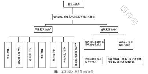 反复流产或胚停，到底该怎么办？