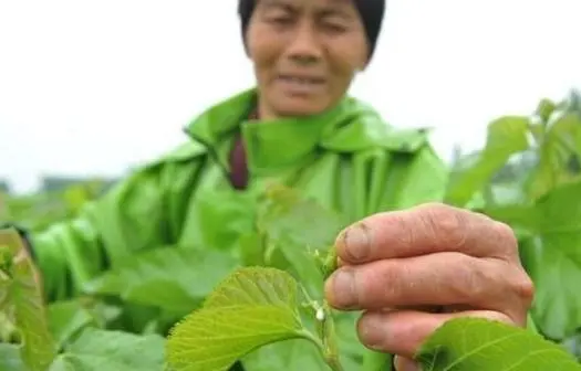 想要控制血糖，要多做四件事、戒掉三个习惯！