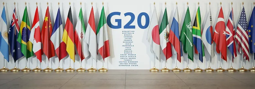 G20外长会议王毅不出席，在释放什么信号？中国或有2重考量