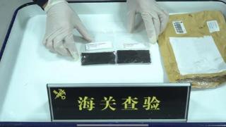 南京海关查获“礼物”进境邮件，土壤中含有卵状物体及螨虫