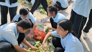 以劳动教育树时代新人 定陶区第一实验中学开展采摘大豆劳动实践活动