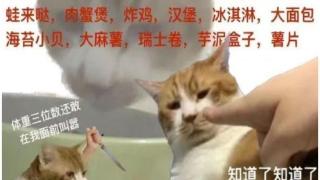 猪瘾患者快来领取你的管嘴神器——秀域184饱腹蔬果饮吧！