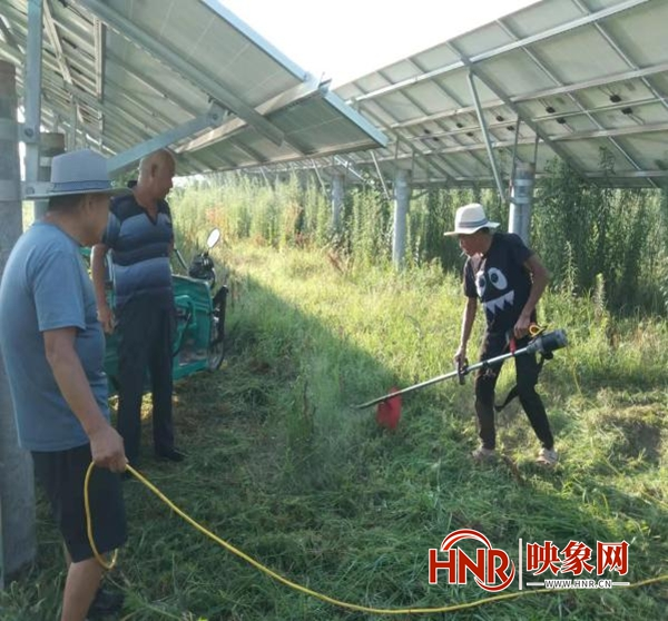 正阳县雷寨乡：强化光伏发电运维 助力乡村振兴发展