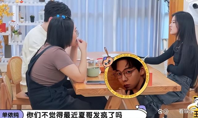 胡夏暗恋圈内女星？网友热议不断，真相揭秘引爆全网！