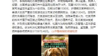 两狗打架主人被狗绳绊倒致十级伤残 法院判了