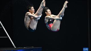 游泳世锦赛:跳水——混双10米台:王飞龙/张家齐夺冠