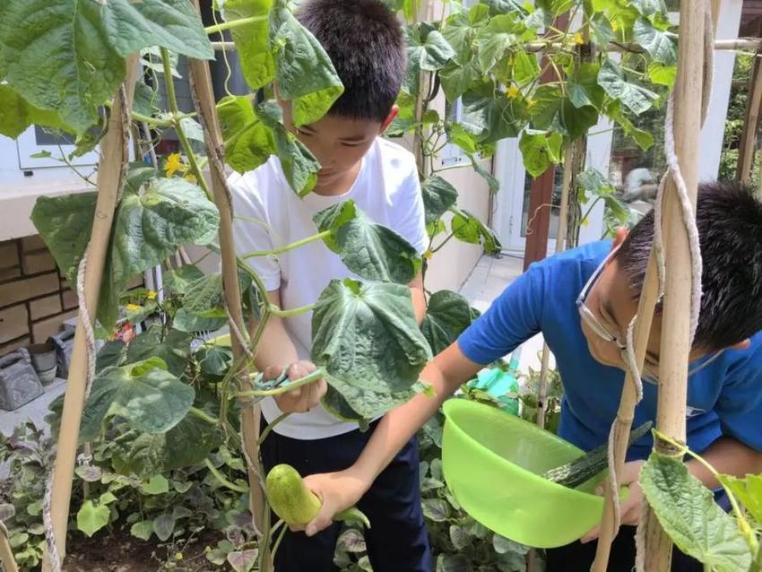 解决暑期“看护难” ，济南高新区雅居园小学学生成长共同体成立