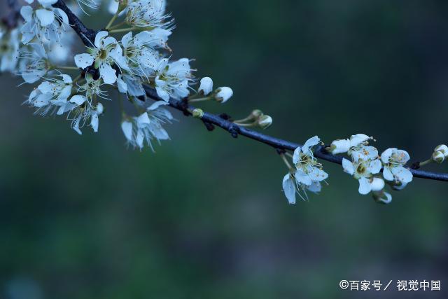 一个家里，有这些“穷迹象”，子女很难超越父母