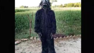 印度男子扮熊替农民吓跑田里猴子：穿特制熊衣 一天值班9小时