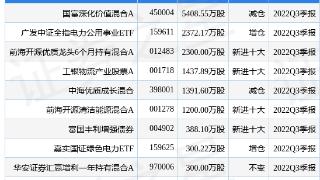 国电电力（600795）主力资金净流出461万元