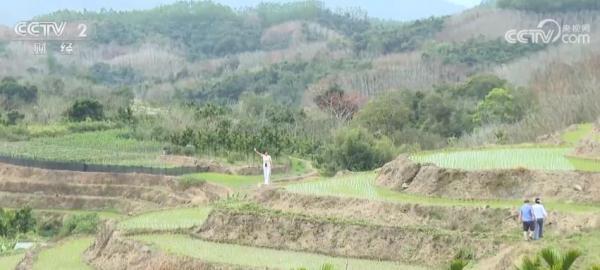 雨水节气将至全国粮食主产区备春耕