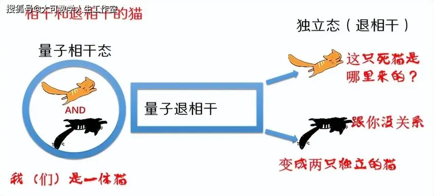 如何确定薛定谔的猫处于“生和死”的叠加态？