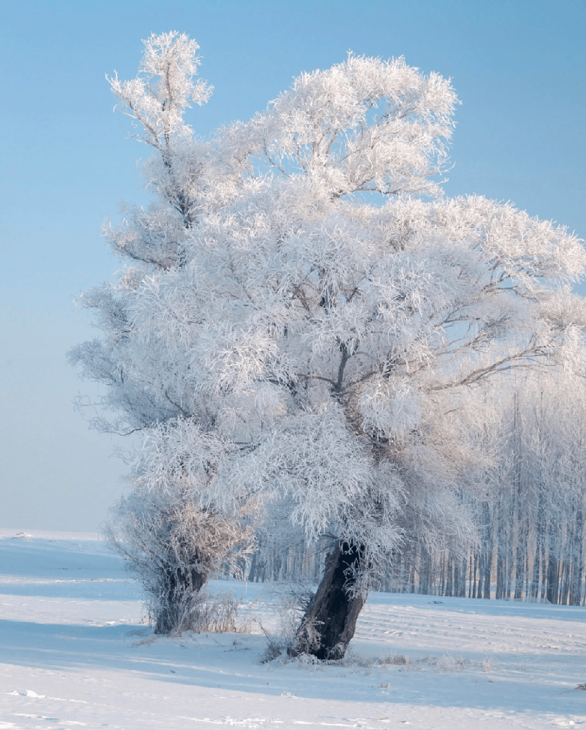 哈尔滨冰雪大世界，名媛们排队几年都要住的奢华冰屋到底有多好？