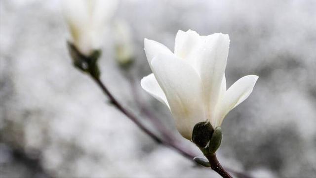 退休金7500，每月花4千请保姆照顾生活起居，儿子说我糊涂