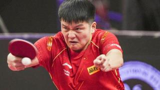 国乒包揽4项冠亚军，王楚钦樊振东争夺世界第一