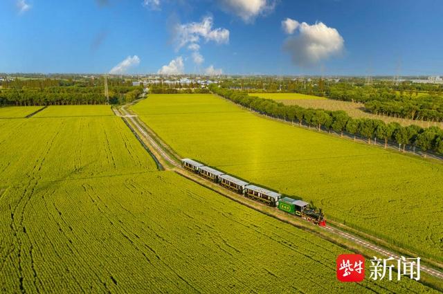 太仓市串联“美丽农村路+生态”助力乡村振兴