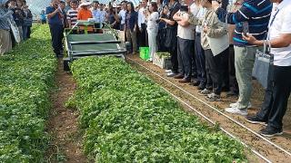 第四届全国蔬菜生产农机农艺融合现场观摩会在张北县召开