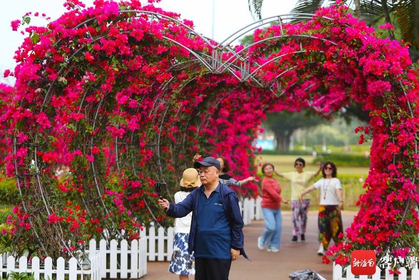 万绿园花海绽放市民和游客前来赏花观景留影