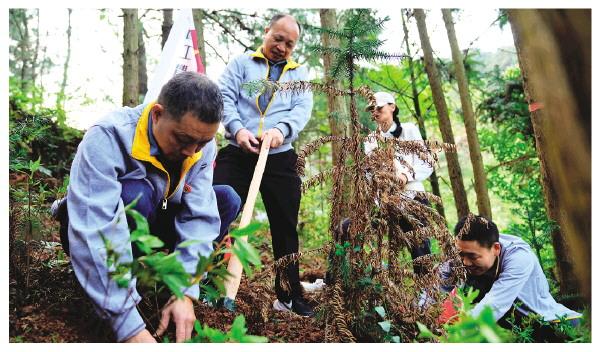 红三十四师龙岩籍烈士后人到全州灌阳祭拜先烈