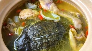 「滋补养生」甲鱼炖汤，传统美味与健康的完美融合