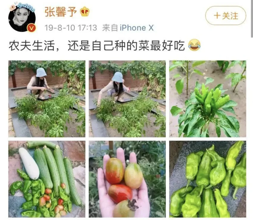 “靠嫁人翻身”的张馨予：她老公何捷，确实很牛！